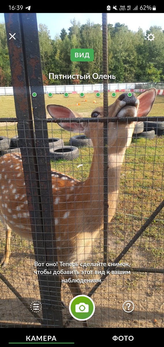 это приложение моя любимка вообще