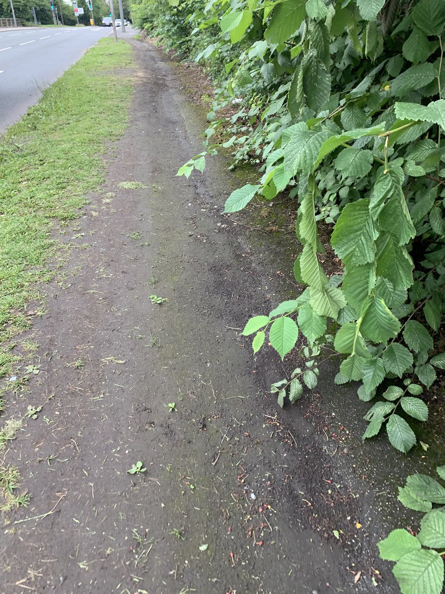jilljosh's tweet photo. @WiganCouncil such a  very overgrown and unwelcoming footpath along Liverpool Rd opposite junction 24 of the M6… https://t.co/jMeT6ypS63