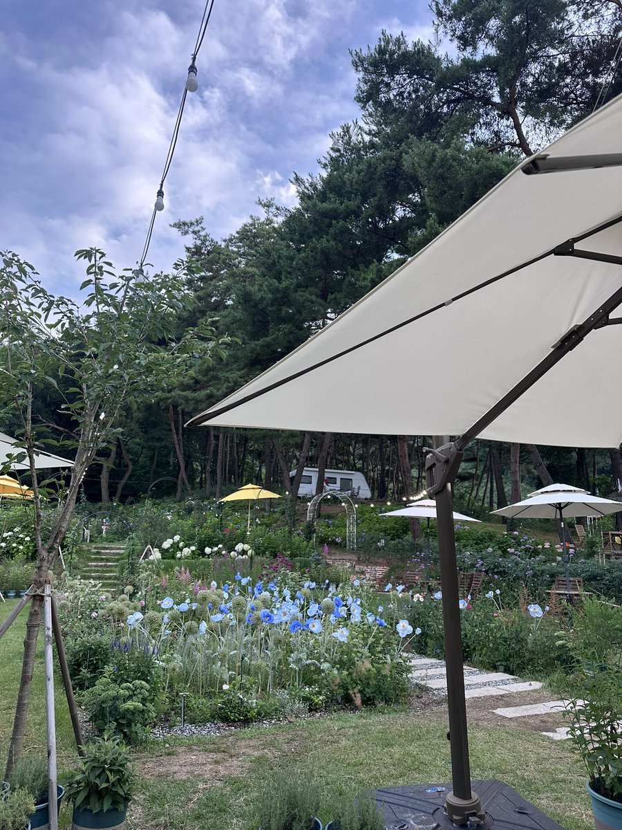 내가 보는 풍경 
#경산 에 있는 #테이스티가든

중요한  테스트가 있어서 일주일간 빡시게 일한
나를 위한 #멘탈케어 프로그램 😆😆😆

맑은 하늘, 상쾌한 바람과 새소리
솔향에 녹아들어 졸립다 🫠
어제 18시간을 일한 타격이 오는군 ㅋㅋㅋㅋ