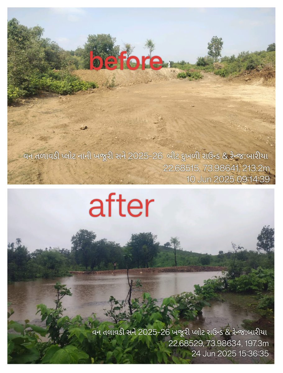 DCFBaria tweet media