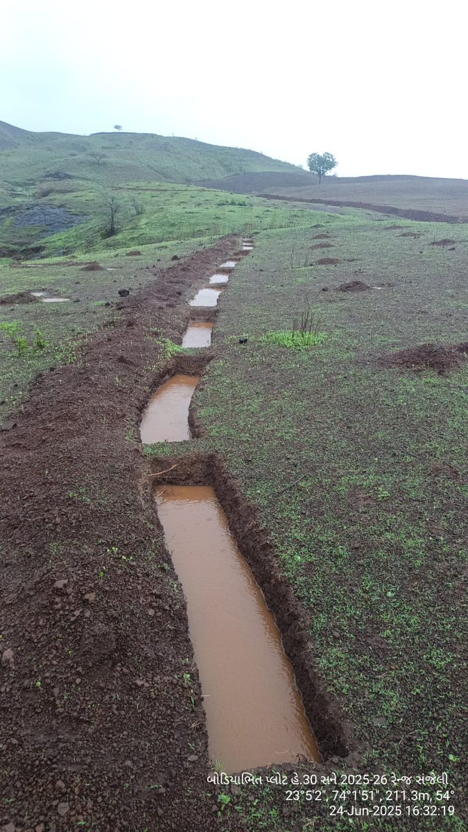 DCFBaria tweet media