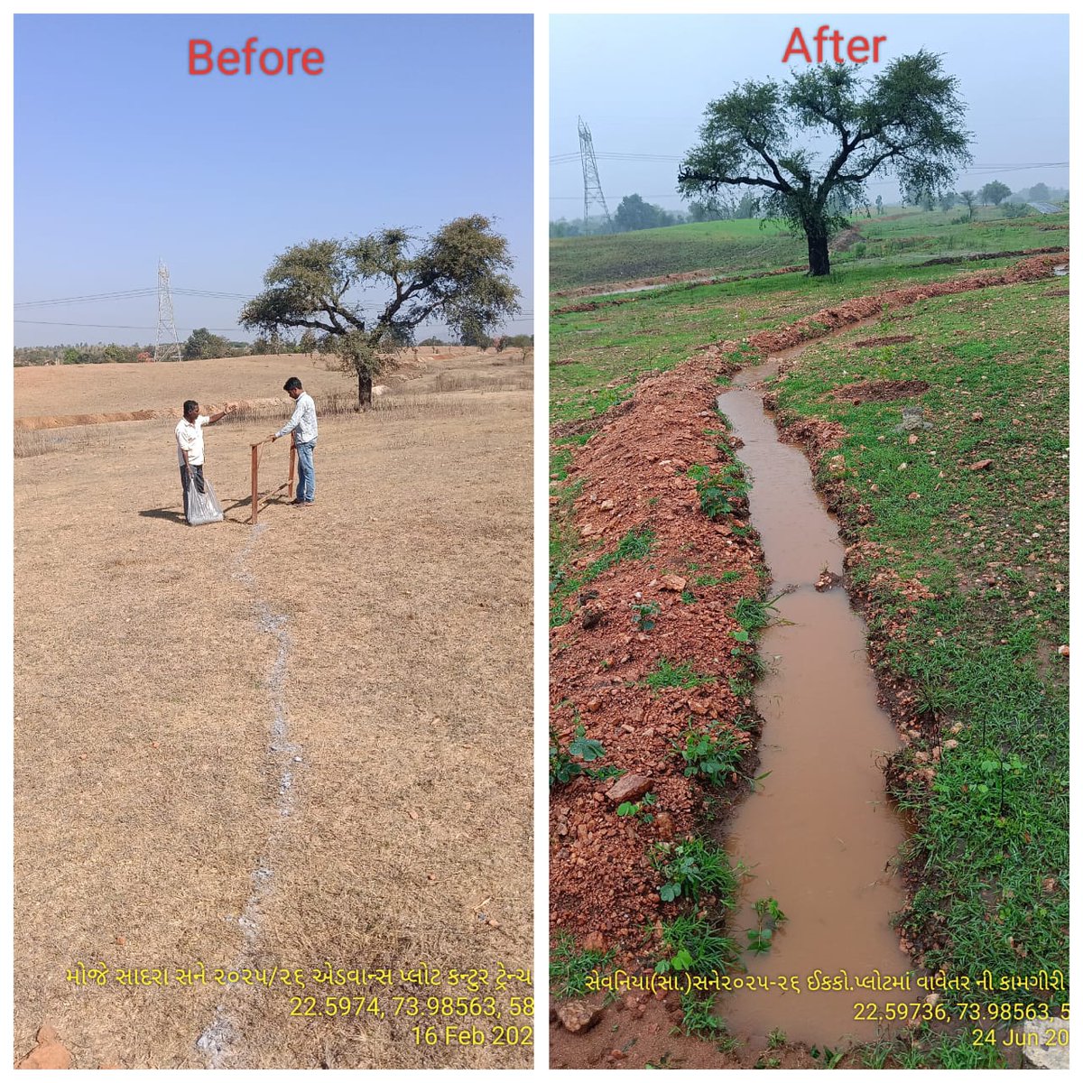 DCFBaria tweet media