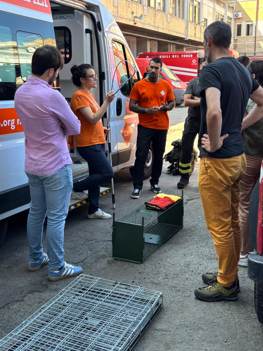 LAV (@lav_italia) on Twitter photo Ieri e oggi la nostra Unità d'Emergenza #LAV ha tenuto il primo corso di formazione ai <a href="/vigilidelfuoco/">Vigili del Fuoco</a> di Messina per diffondere la cultura del soccorso agli animali durante situazioni critiche. Un programma didattico costruito grazie alle esperienze acquisite negli anni👇 Ieri e oggi la nostra Unità d'Emergenza #LAV ha tenuto il primo corso di formazione ai <a href="/vigilidelfuoco/">Vigili del Fuoco</a> di Messina per diffondere la cultura del soccorso agli animali durante situazioni critiche. Un programma didattico costruito grazie alle esperienze acquisite negli anni👇