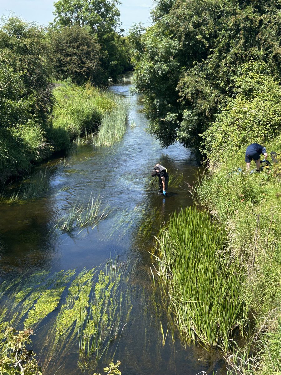 HydroGen tweet media