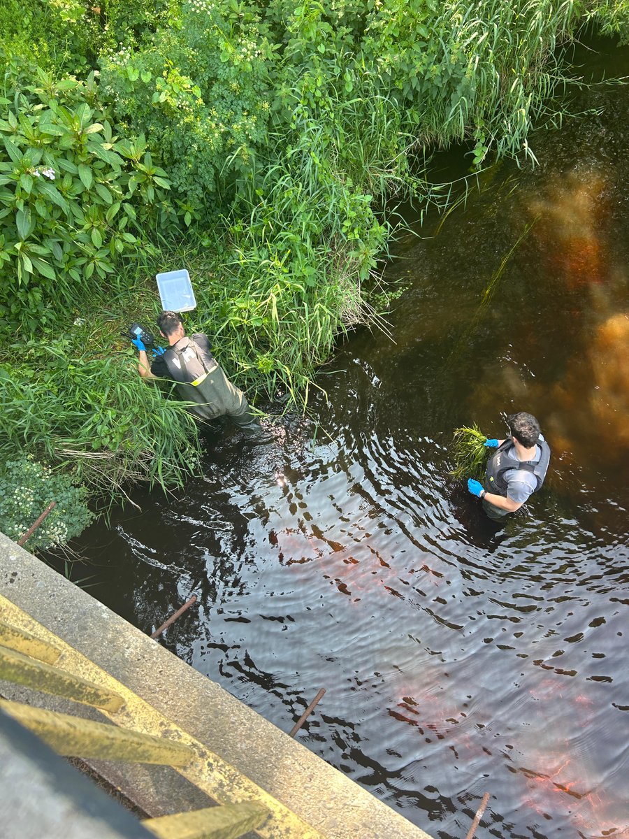 HydroGen tweet media