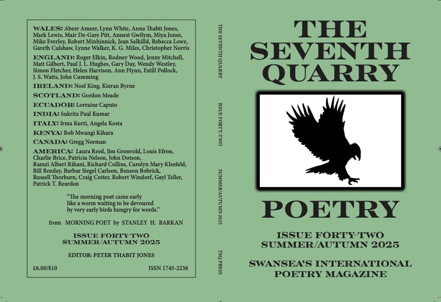 The latest issue of The Seventh Quarry Magazine.
Copies to contributors and subscribers will be sent out over the next few weeks.

seventhquarrpress.com