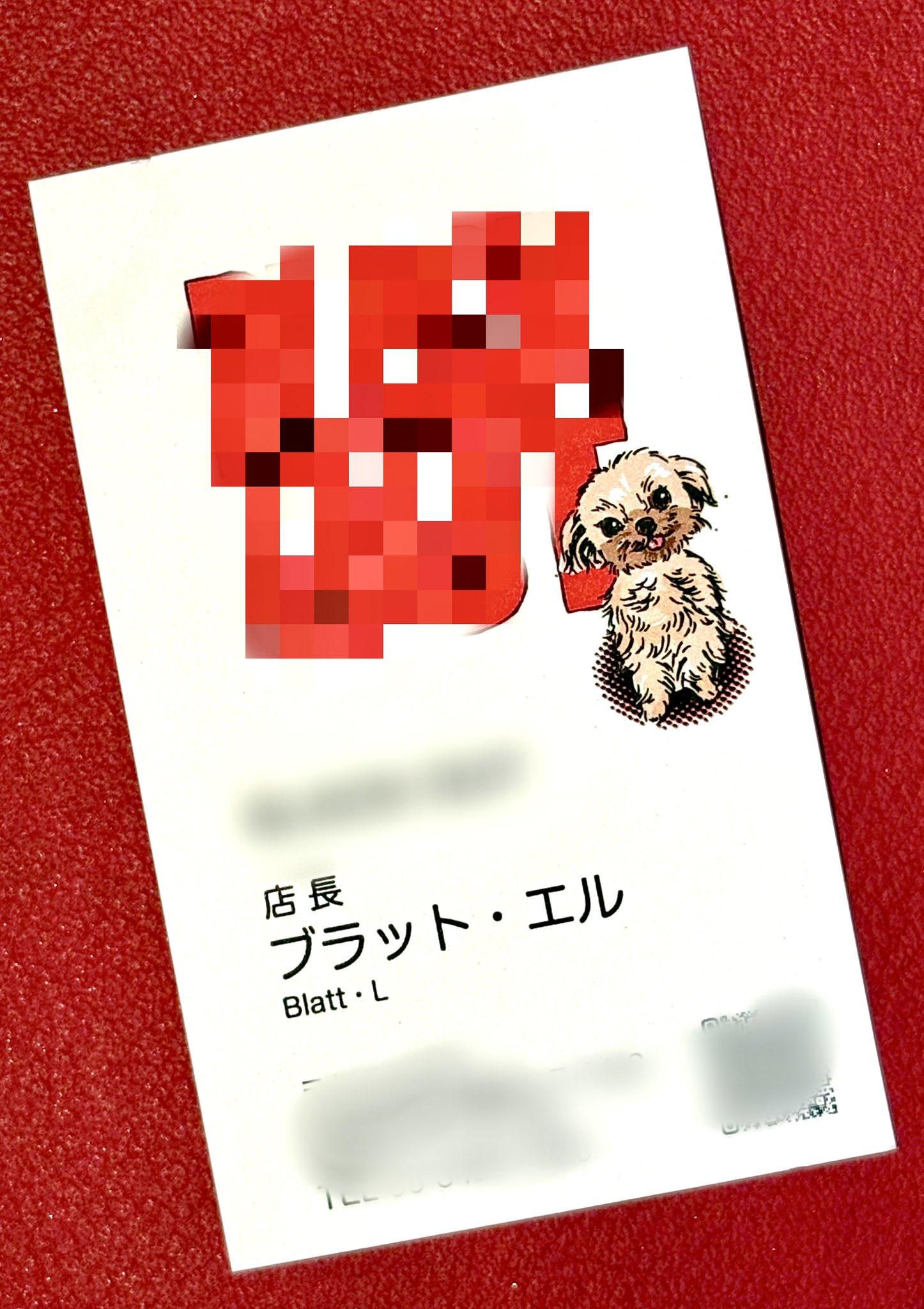 人気沸騰ブラドン mayu on X:  ミュージシャン