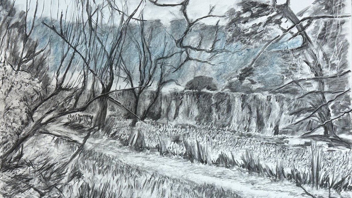 #Exhibition: Sophie Hacker - 8th July to 17th August 2025 

In Spring 2022, Sophie Hacker started a one-year Art Residency at Gilbert White’s.

Her exhibition showcases installations, sculpting, painting and experimental work made during her residency.

More info on our website