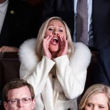MikeyCush's tweet photo. @Maloof51918L @Ryandally08 @TomiLahren What is she then? https://t.co/F9gVL4TZE7