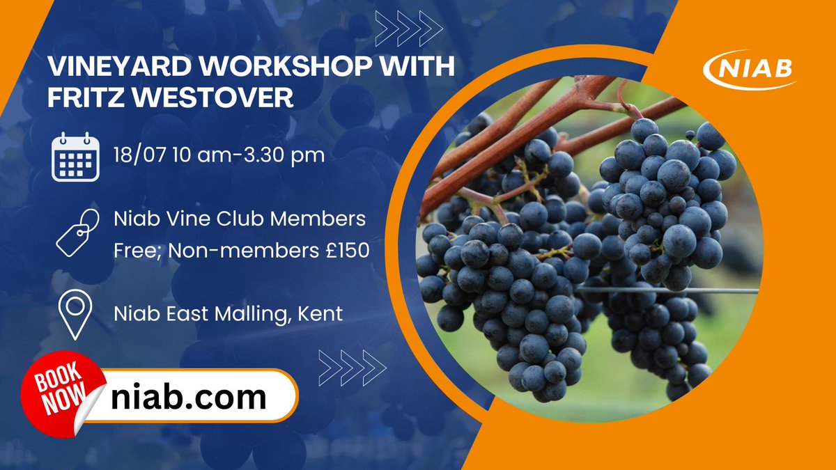 niabgroup's tweet image. Join Niab for a Vineyard workshop with world-renowed expert Fritz Westover.
You'll get practical solutions and insights tailored to the unique challenges of cool-climate viticulture as Fritz comes to the UK for the first time. More info and book ➡️ow.ly/B4wA50WfYEi