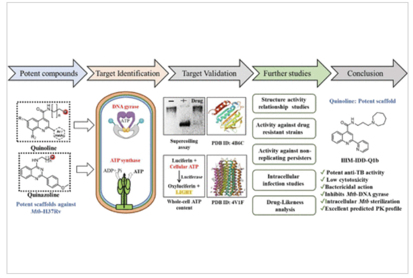 New research in #JMedChem highlights promising compounds that could lead to safer, more effective treatments for tuberculosis—including drug-resistant forms. A major step forward in the global fight against TB <a href="/Rashmi_Sharmaa/">Rashmi Sharma</a> <a href="/SinghPP2022/">Parvinder Pal Singh</a> <a href="/csiriiim/">CSIR-IIIM</a> 

go.acs.org/cMB