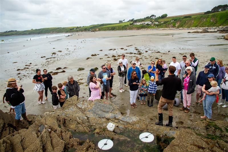 Our new #SeafoodForLife story celebrates the National Lobster Hatchery's recent initiative to replenish and strengthen lobster stocks in Cornwall!
 
Read more about the story on our website: buff.ly/QqTNoZG
 
Photo by Mat Arney 📸