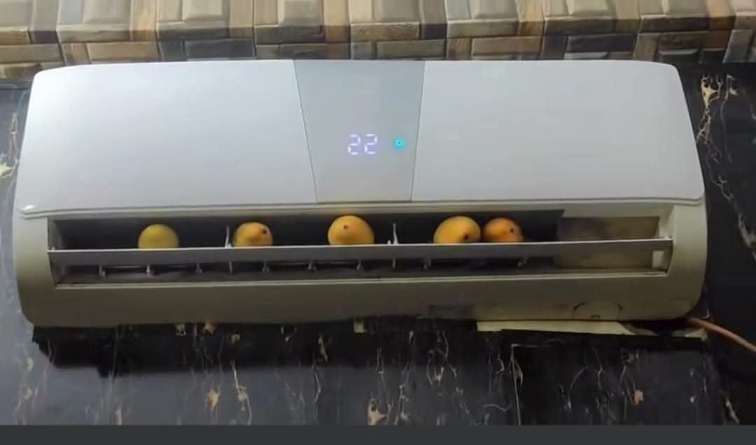 Ye scheme Pakistan se bahir nhi jaani chaiye 🤧