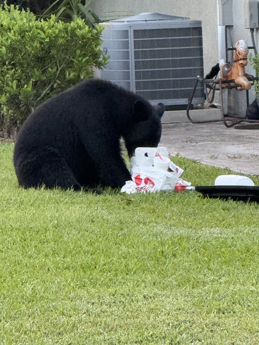 Andy_TuckFL's tweet photo. Even Boo Boo says eat more chikin this morning! ⁦@ChickfilA⁩ ⁦@KayleeTuck2⁩ https://t.co/ecEutnz9cG