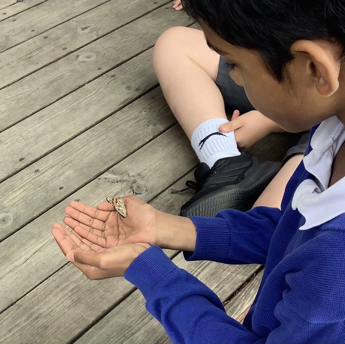 ReinwoodJuniors's tweet photo. 5D’s caterpillars have turned into beautiful butterflies! #RJS5D https://t.co/NmSUNj9Z3O
