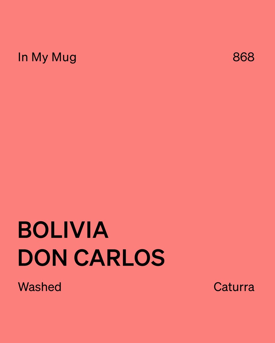 ozonecoffeeuk's tweet photo. This week’s In My Mug: a delicate Washed Caturra from Finca Don Carlos, Bolivia – soft melon &amp; peach in light syrup with a cocoa finish. Part of Agricafe’s Buena Vista project, honoring Carlos Mariaca. Led by Pedro Pablo Rodriguez. Stories in every cup. ☕ https://t.co/j5MdqxS2tC