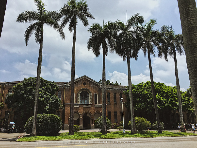 Where to see #palms... National Taiwan University campus, Taipei, #Taiwan. 📷: Duke Lin CC BY-NC-ND 2.0. #Where2CPalms