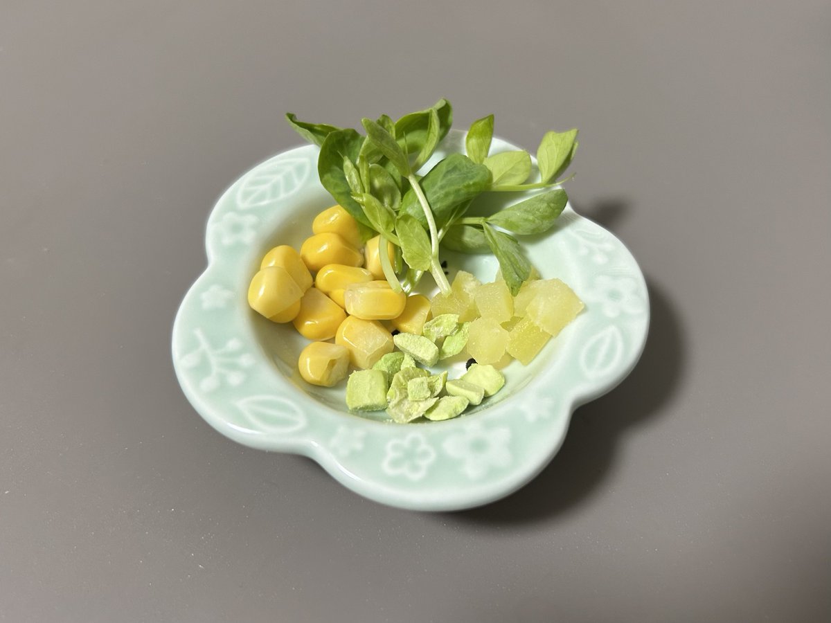 ずーちゃんの誕生日はステンレスケージをプレゼントしました🏠
メッキの時と同じカラー😆怖がらせないように止まり木前のまま、レイアウトも変えなかったからあまりビビらずお引越しできた✨おやつもスペシャルセットを食べました🍴