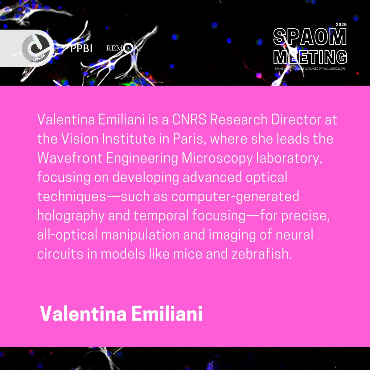 SPAOM (@spaom5) on Twitter photo 🚨Speaker Alert: Dr. Valentina Emiliani joins #SPAOM2025!
CNRS Director <a href="/VisionInstitute/">Bristol Vision Institute</a>, she pioneers brain imaging with holography & light-based neural control in mice/zebrafish.
Don’t miss this neurophotonics powerhouse! 💡🧠
#Neuroscience #Microscopy #ValentinaEmiliani 🚨Speaker Alert: Dr. Valentina Emiliani joins #SPAOM2025!
CNRS Director <a href="/VisionInstitute/">Bristol Vision Institute</a>, she pioneers brain imaging with holography & light-based neural control in mice/zebrafish.
Don’t miss this neurophotonics powerhouse! 💡🧠
#Neuroscience #Microscopy #ValentinaEmiliani