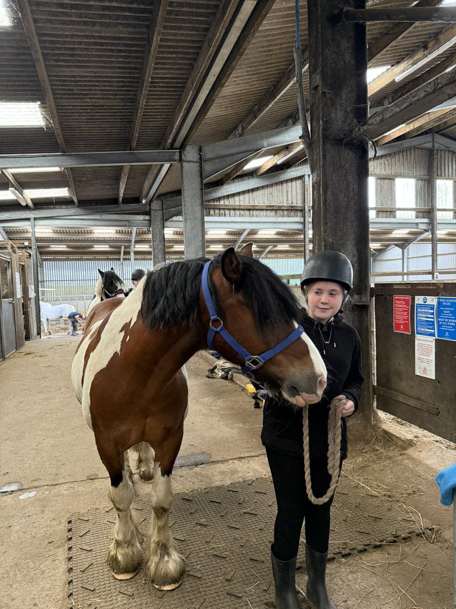 Saint Stephen's High School tweet media