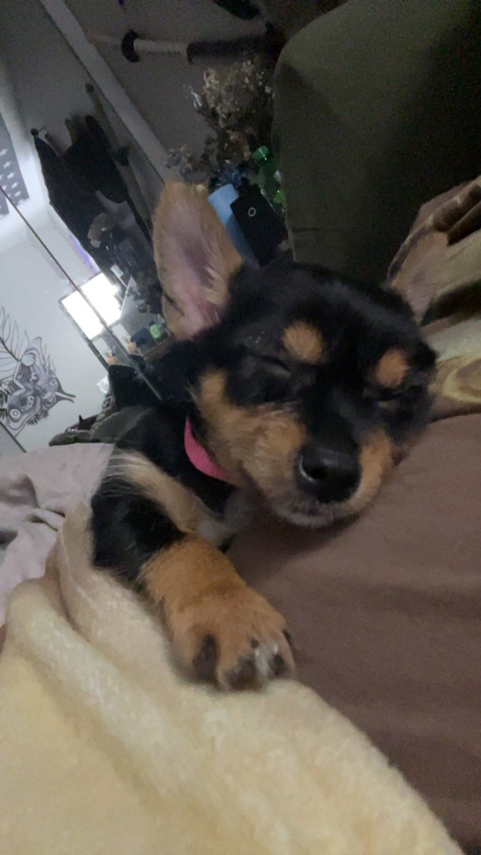 d1fang1rl's tweet photo. guys this is espresso ☕️ https://t.co/V6MGaCl8vt