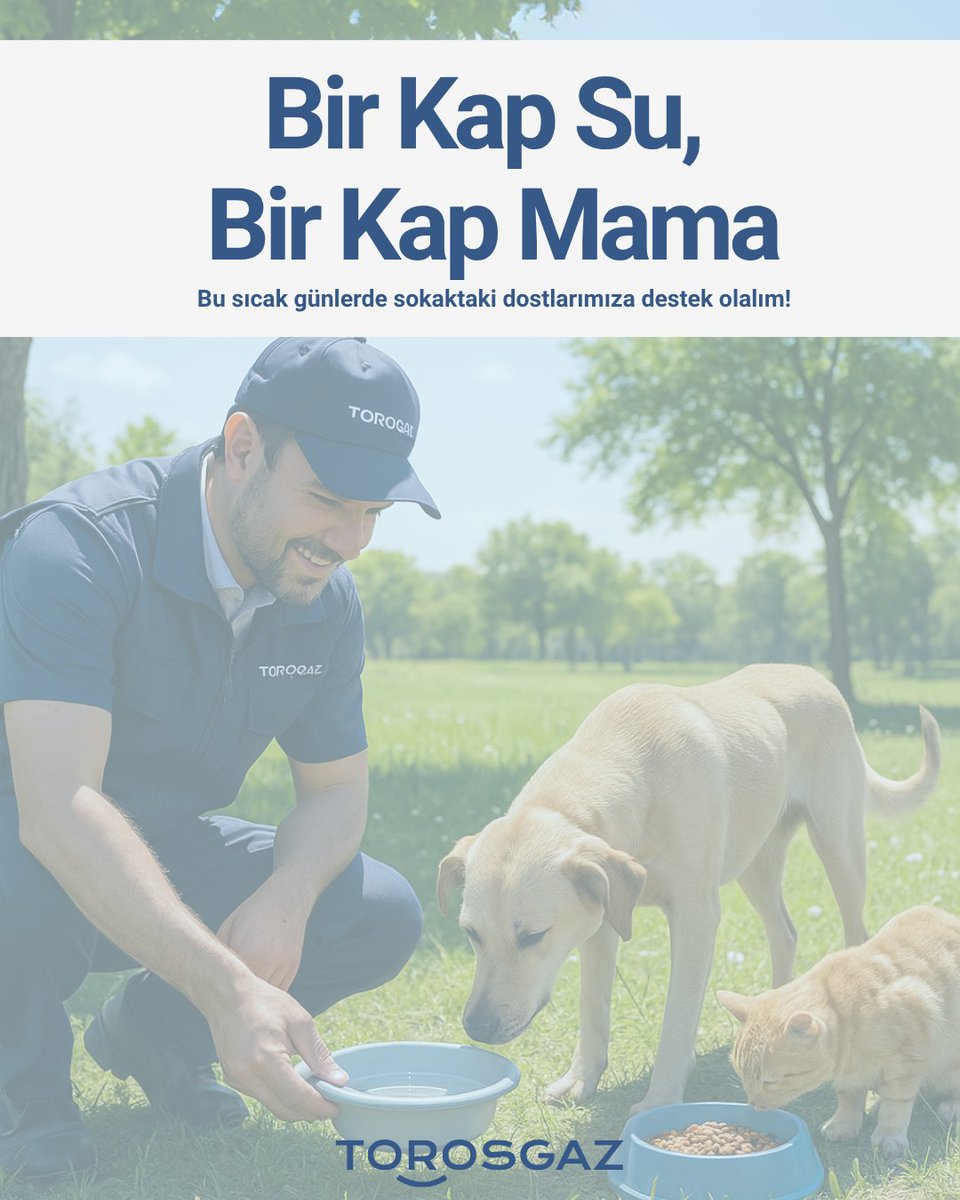 📣 Bir Kap Su, Bir Kap Mama!
Bu sıcak yaz günlerinde sokakta yaşayan dostlarımız için küçük ama anlamlı bir adım atmaya ne dersiniz?
🐾 Torosgaz ailesi olarak, sahipsiz hayvanların yanında olmaya devam ediyoruz.
Sen de kapının önüne bir kap su, bir kap mama bırakmayı unutma 💧❤️
