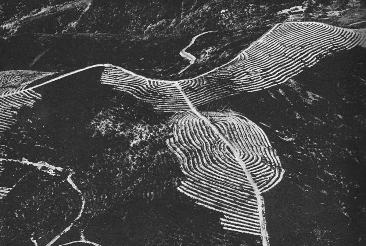 bootleg_images_bot(twee!:void(0)-+**** (@chronic_clinic_) on Twitter photo 