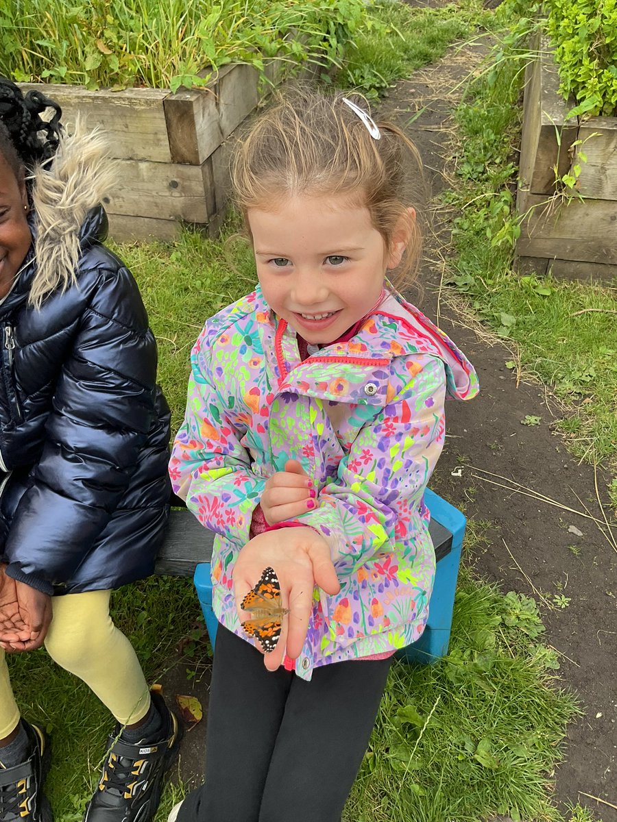Unsworth Primary (@unsworthprimary) on Twitter photo Today Reception released the butterflies into the wild. Bob, Bert, Bluey, Bella and Beatrix flew high into the sky. We have loved observing your beautiful life cycle. ๐๐ฆโค๏ธ #oakexperience <a href="/OLPartnership/">OakLearningPartnership</a> Today Reception released the butterflies into the wild. Bob, Bert, Bluey, Bella and Beatrix flew high into the sky. We have loved observing your beautiful life cycle. ๐๐ฆโค๏ธ #oakexperience <a href="/OLPartnership/">OakLearningPartnership</a>