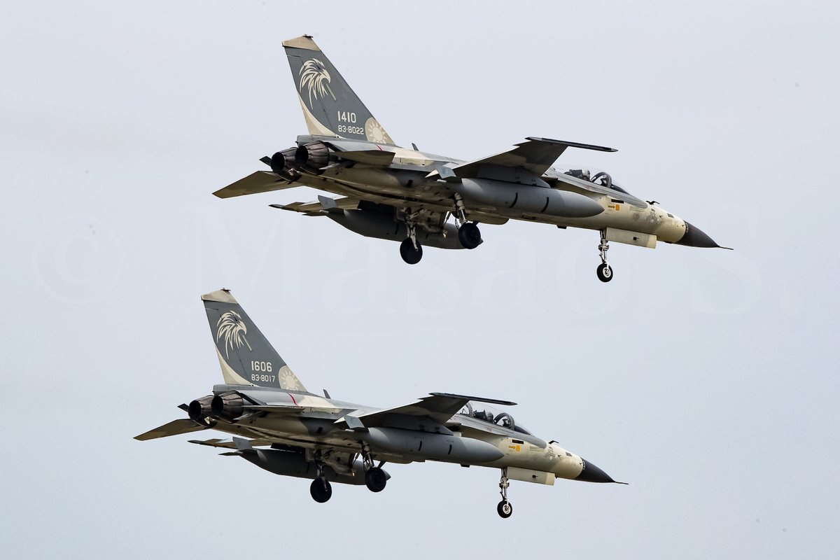 #飛行機を2機一緒に撮りました