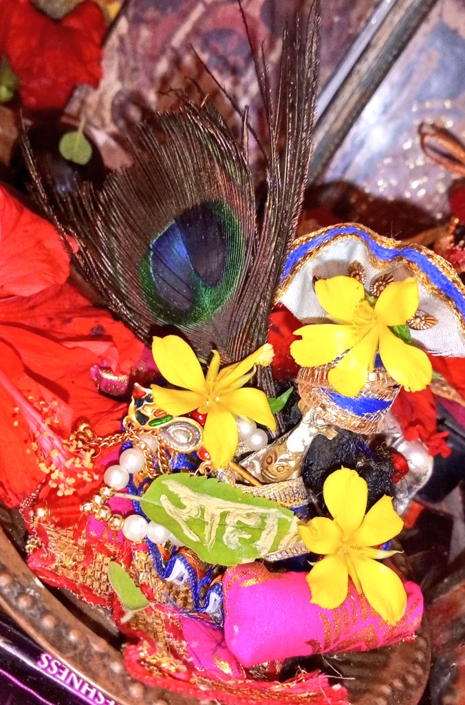 __S_h_r_e_e__'s tweet image. राधारमणं हरे हरे... 💛🤗🌼