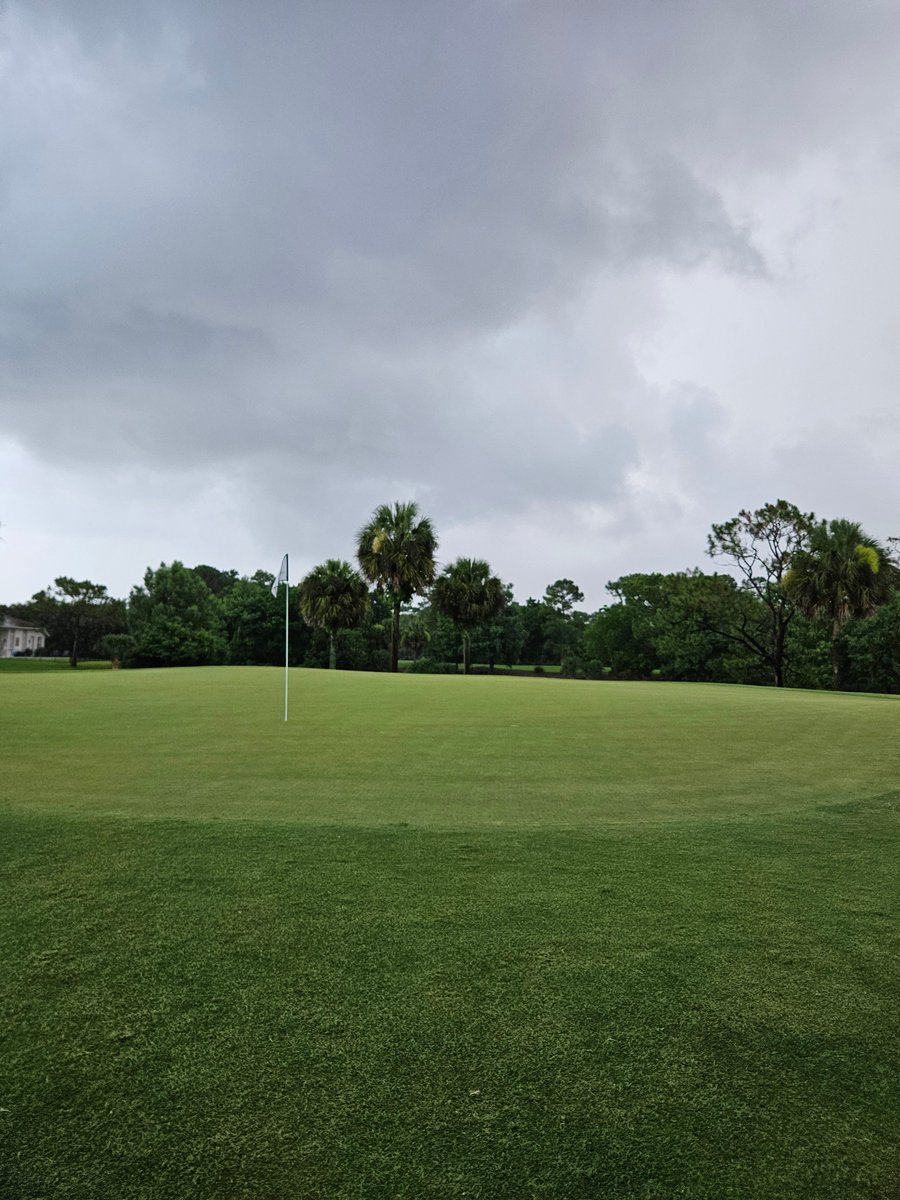 Timed out that bulk fert app perfectly yesterday with .5 in of rain over night