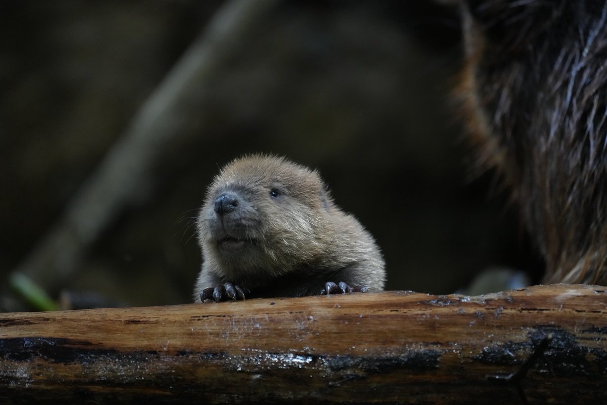 #自分が気に入ってる写真を1枚選んで無言で貼る