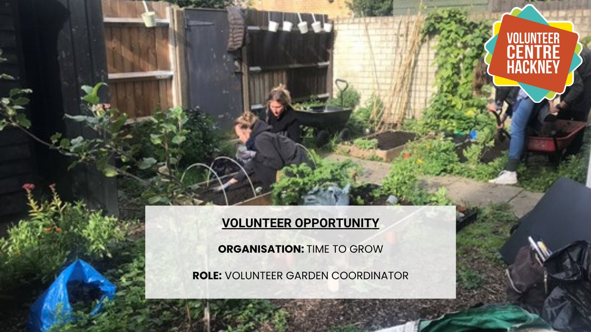 VCHackney's tweet photo. ☀️ Summer is here and Time to Grow need gardening enthusiasts to support them.

🌿You will be planting flowers, growing food and supporting other volunteers’ love of gardening.

APPLY: https://t.co/pqIuubzpbF

#gardening #vchackney #volunteering #volunteerhackney #hackney https://t.co/A6iHbLtGDU