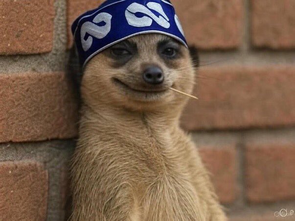 Agbado supporters “this government will favor me nd my family”.

Tulumbu;…🤓🤓🤓