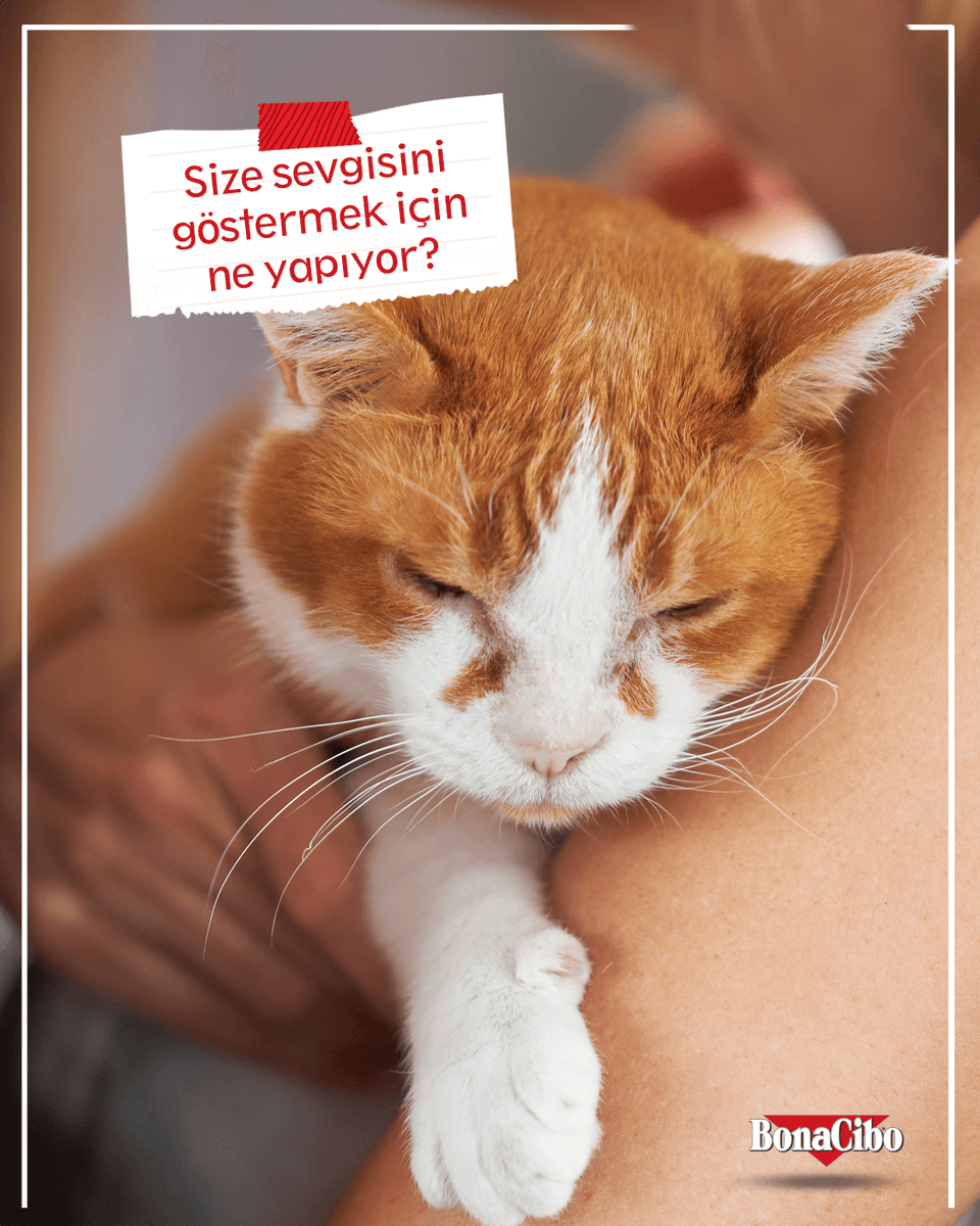 Her mimiği, her bakışı aslında birer sevgi itirafı. Onların diliyle sevildiğinizi hissetmek bambaşka bir şey! ❤

Peki sizinki sevgisini nasıl gösteriyor? 😻🐶