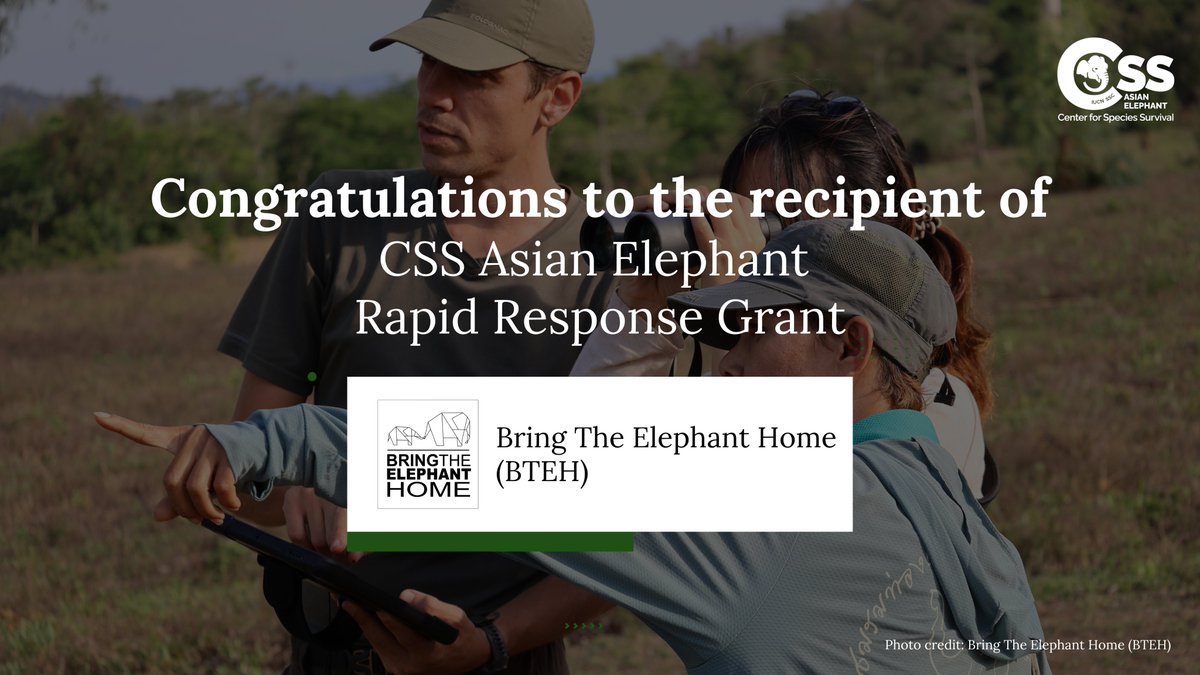 The Rapid Response Grant under the IUCN SSC CSS Asian Elephant has been awarded to Bring The Elephant Home (BTEH).

The $4,996 grant will partly support efforts to promote human-elephant coexistence through AI-assisted, community-led monitoring in Kuiburi National Park, Thailand.