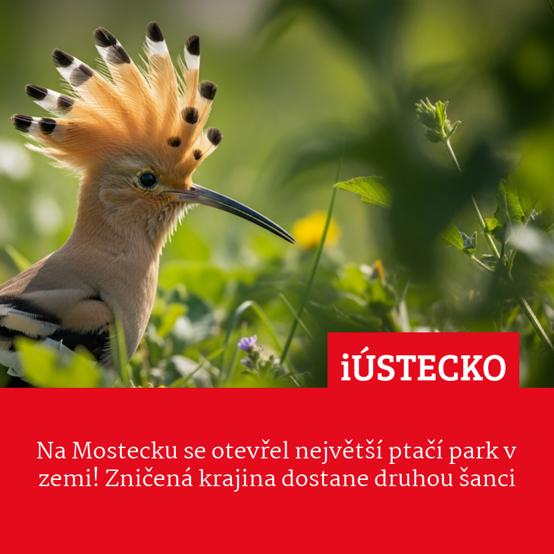 iustecko_red's tweet photo. https://t.co/LFfJOnq9HI
#mostecko #ptáci #PtačíPark #Ornitologie #příroda #iustecko https://t.co/Bw3hg2Yurd