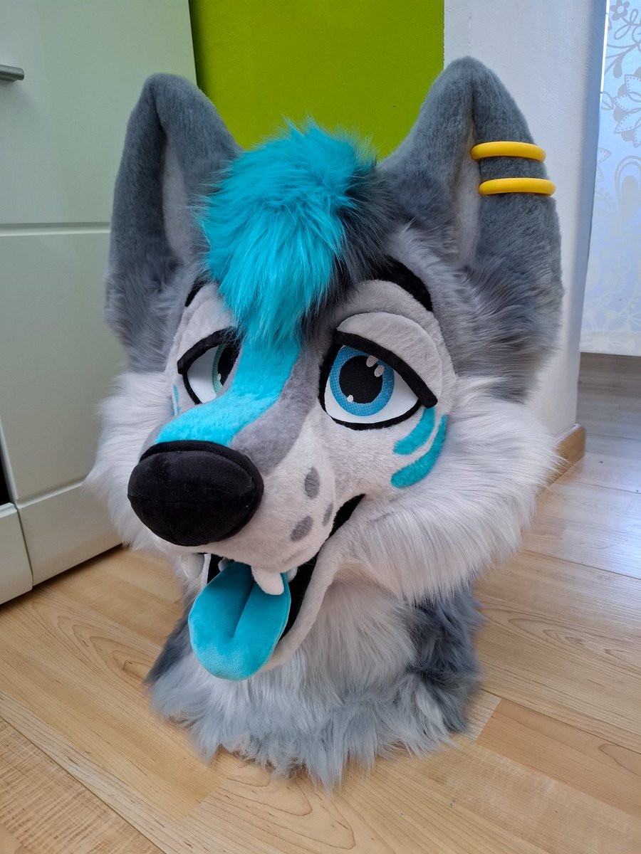 A new member of our fursuit family is here! 🎉🩵🐺

Commission for <a href="/Darxandri/">Darxandri</a> 

#fursuit #commission #partialfursuit #wolffursuit