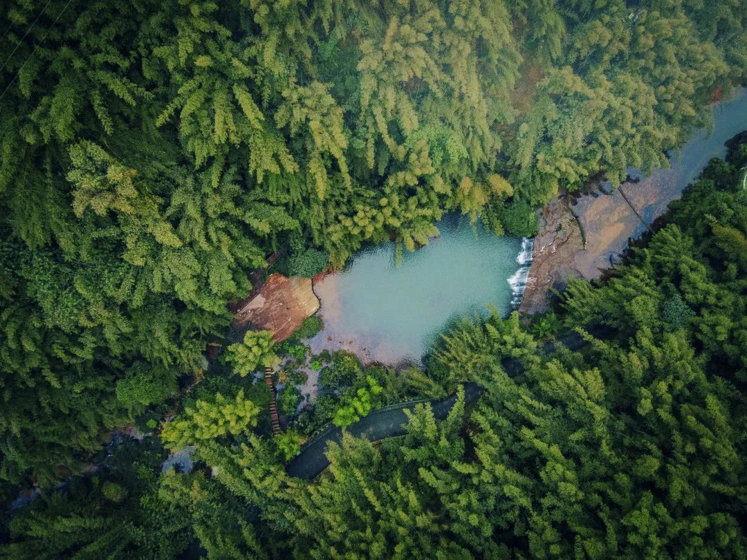 InZunyi's tweet image. #Zunyi makes history with its 6th consecutive ranking in China's Top 20 Cities for Sustainable Health and Wellness, as its Chishui and Fenggang counties shine in the top 100 counties list. #ZunyiUpdates