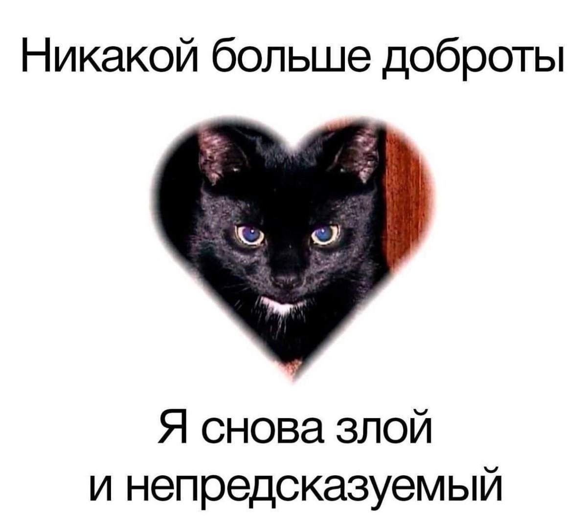 akonitmood's tweet photo. https://t.co/0b5cpChUaz