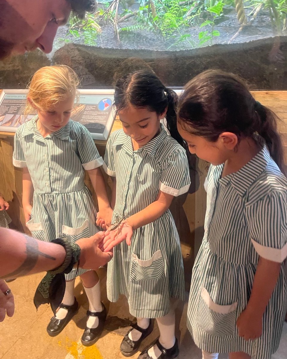 Our marvellous Reception children have been exploring the topic of ‘Growing and Changing’ and as part of their studies this week they visited Stratford Butterfly Farm and saw the most amazing butterflies first-hand. #crescentschool #reception #stratfordbutterflyfarm