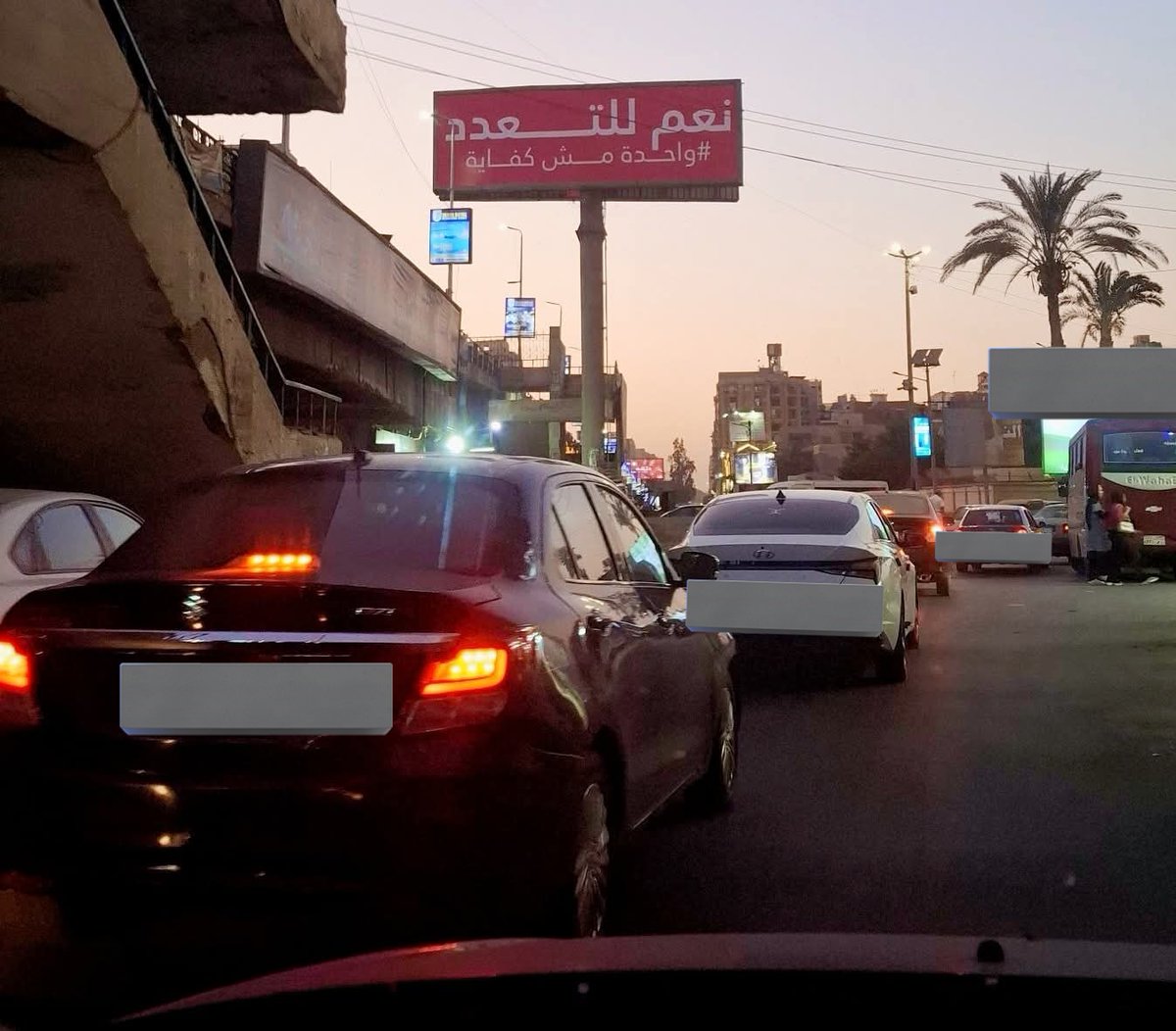 نعم للتعدد ... واحده مش كفايه 
اهو ده الكلام المظبوط ❤️