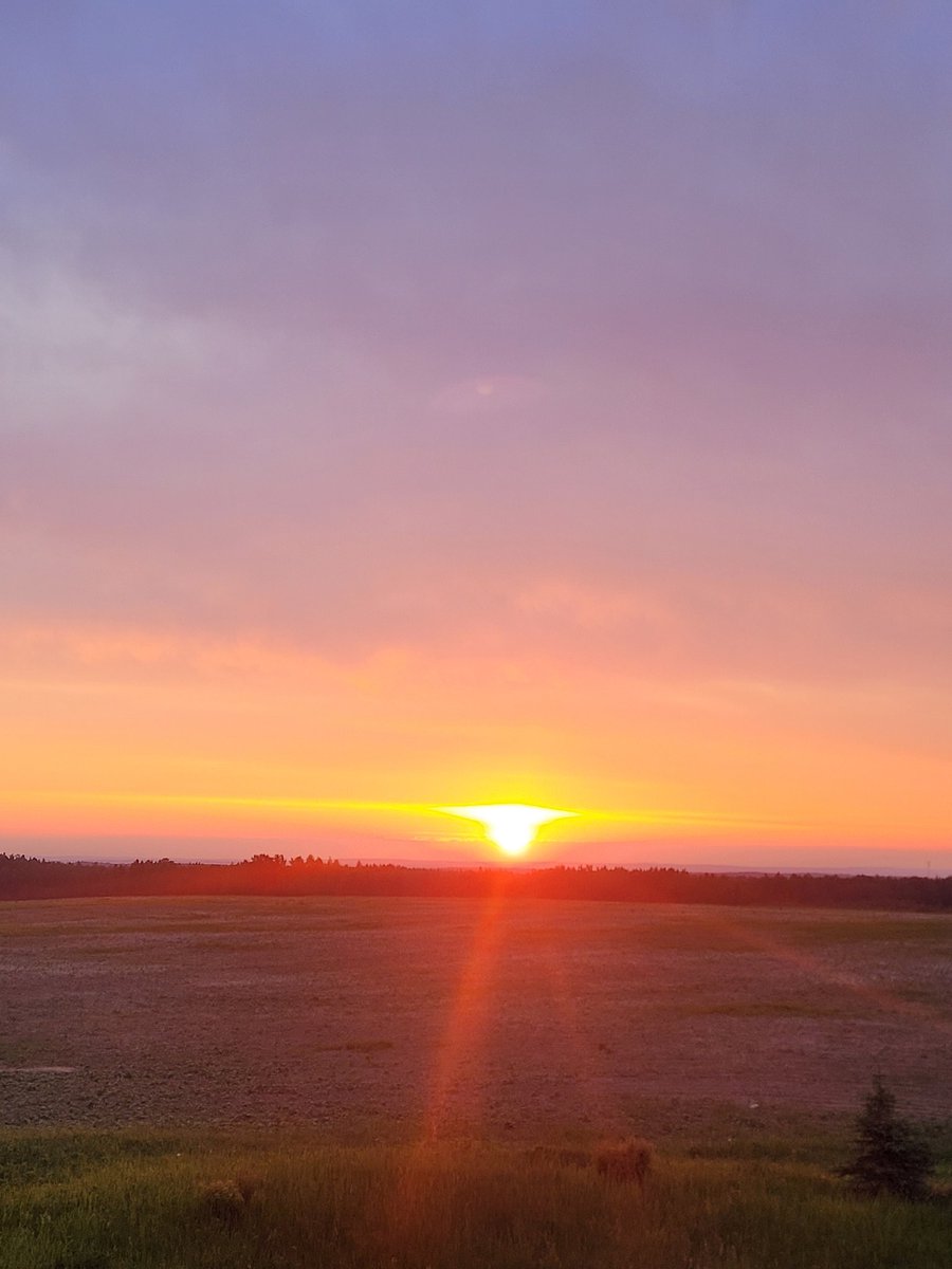 Michael (The Young Buck)🧢 tweet media