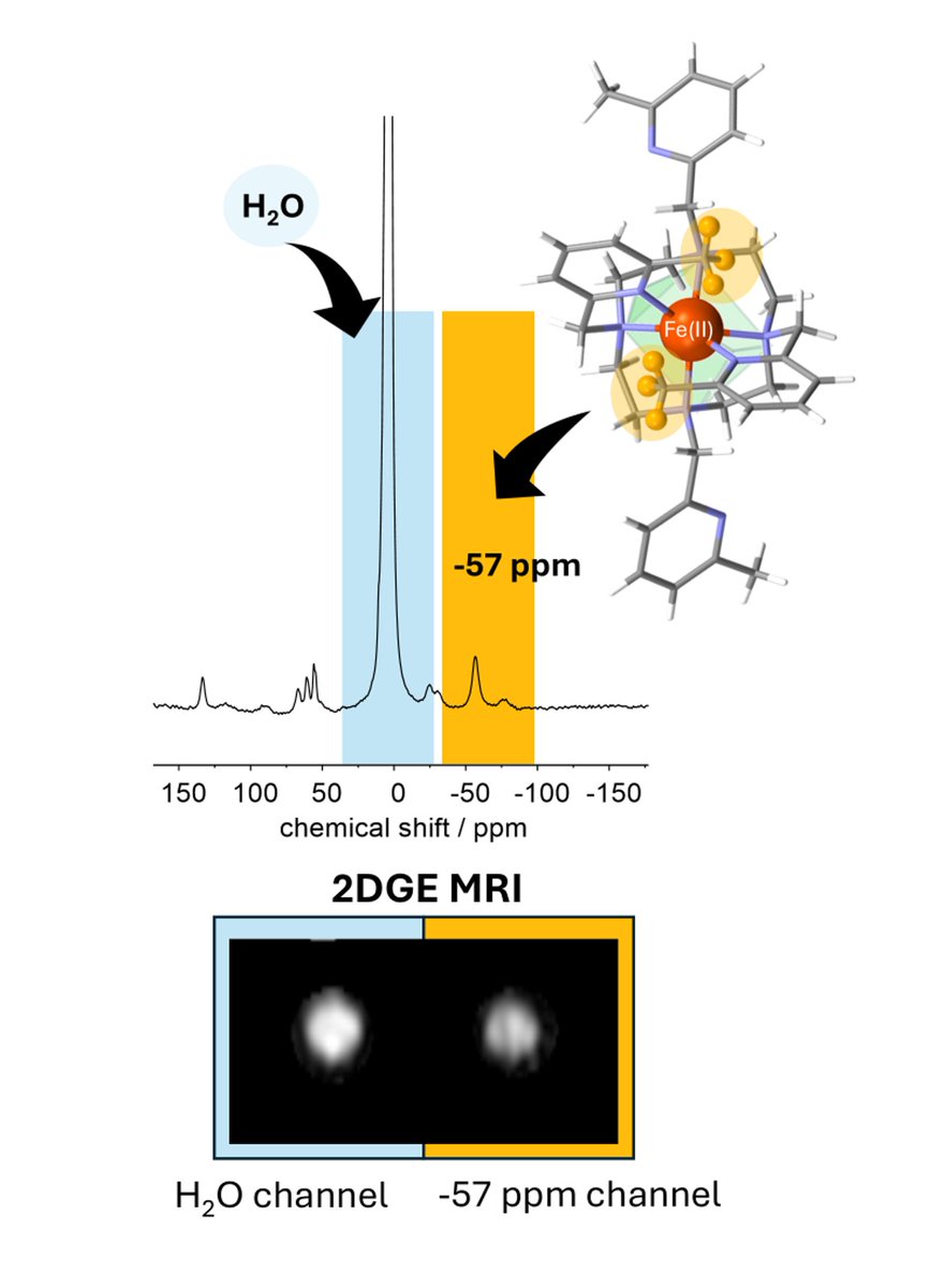 Check out our latest work on macrocyclic Transition Metal Complexes as Parashift probes for MRI <a href="/DaltonTrans/">DaltonTransactions</a> 
pubs.rsc.org/en/content/art… alongside Chowan Ashok, Daniel Bowdery, Galina Pavlovskaya, <a href="/PeterHarvey87/">Peter Harvey</a> , led by <a href="/Nicola_jrogers/">Nicola Rogers</a> <a href="/HKBU_Science/">HKBU Science</a> <a href="/hkbaptistu/">Hong Kong Baptist University</a> <a href="/UniofNottingham/">Uni of Nottingham #WeAreUoN</a>