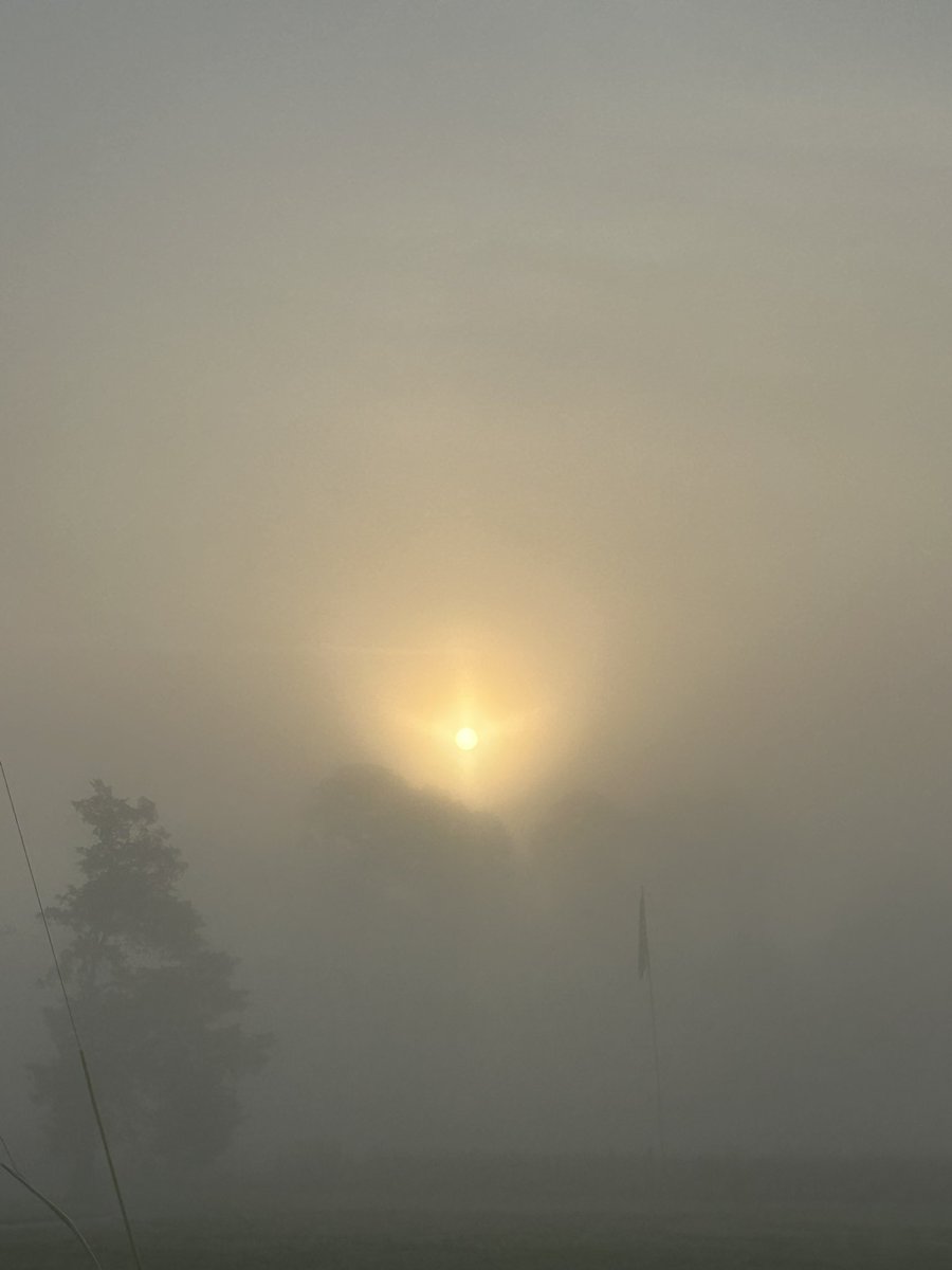 DavidMWood92 tweet media