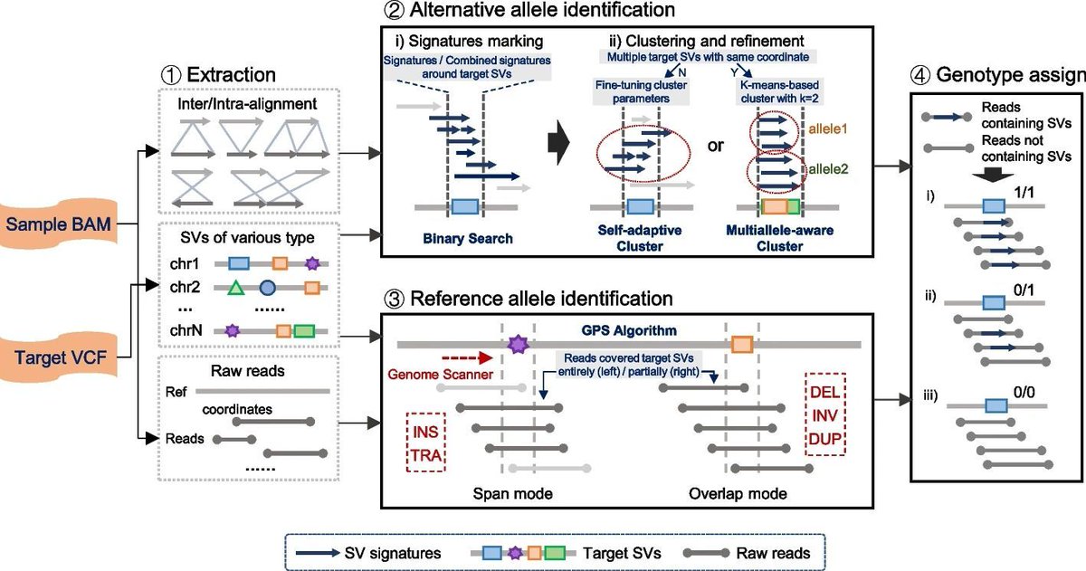jsantoyo's tweet image. cuteFC: regenotyping structural variants through an accurate and efficient force-calling method. #LongReads #StructuralVariants #Genomics #Bioinformatics @GenomeBiology
genomebiology.biomedcentral.com/articles/10.11…