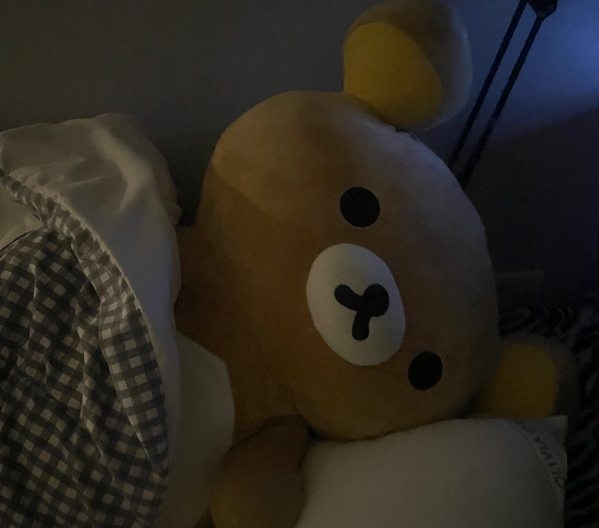 진실게임 하자
