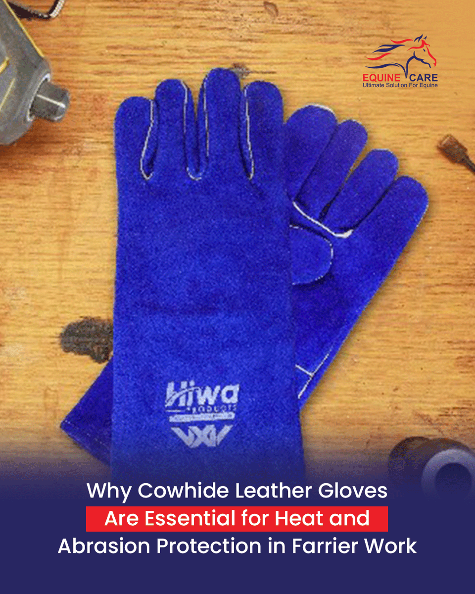 equinecares's tweet image. 🔥 Protect your hands—your greatest tools! Premium Cowhide Leather Gloves deliver heat resistance, flexibility &amp;amp; lasting durability.
👉 Essential gear for every farrier!
🔗 equinecares.com/products/cowhi…
#EquineCare #FarrierLife #ForgeLife #SafetyGear #LeatherGloves