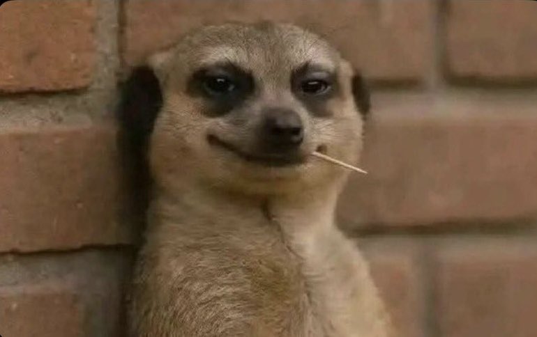 Touch__Screen's tweet image. When she says “I’m going out with my girls tonight and my phone battery is low”