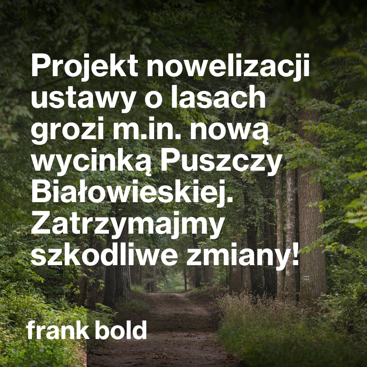 Fundacja Frank Bold (@frankbold_pl) on Twitter photo 67 organizacji społecznych alarmuje, że nowy projekt zmian w ustawie o lasach i o ochronie przyrody, przygotowany przez <a href="/MKiS_GOV_PL/">Ministerstwo Klimatu i Środowiska</a>, może umożliwić wycinkę tak cennych miejsc jak Puszcza Białowieska:
frankbold.pl/kolejny-projek… 67 organizacji społecznych alarmuje, że nowy projekt zmian w ustawie o lasach i o ochronie przyrody, przygotowany przez <a href="/MKiS_GOV_PL/">Ministerstwo Klimatu i Środowiska</a>, może umożliwić wycinkę tak cennych miejsc jak Puszcza Białowieska:
frankbold.pl/kolejny-projek…